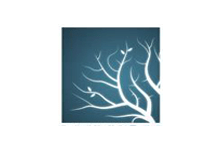 Lumion8.5 Pro安装教程-软件共享管家